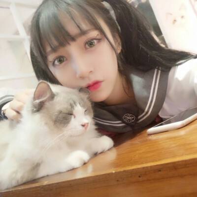 属性与生活2九游版下载